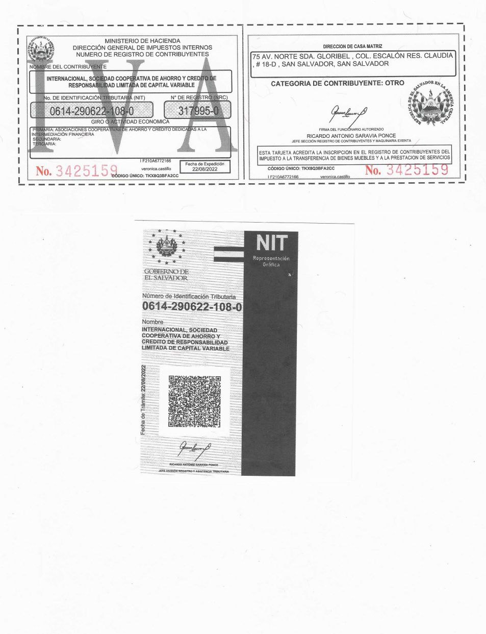 Vista previa del PDF