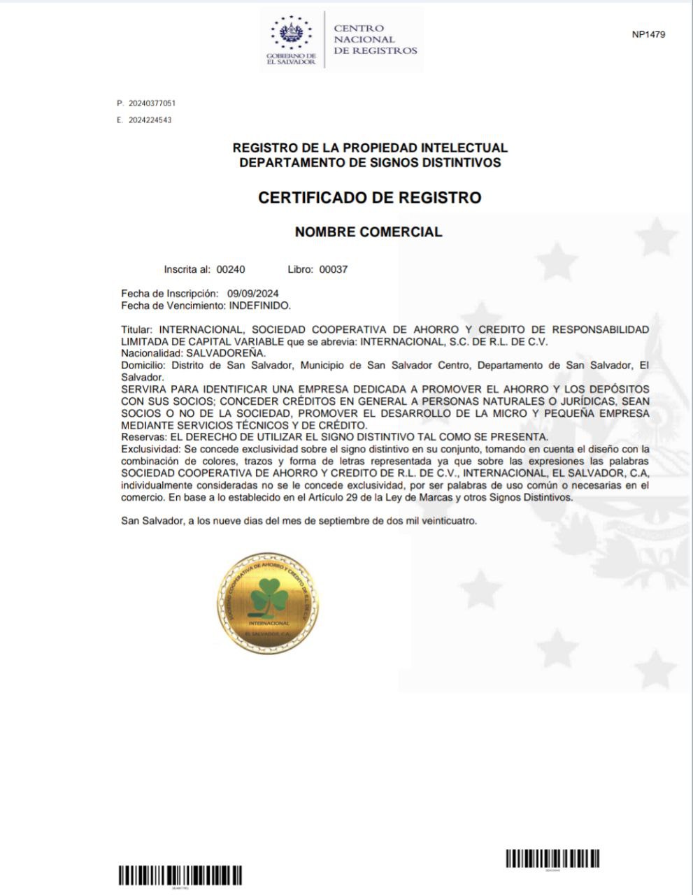 Vista previa del PDF