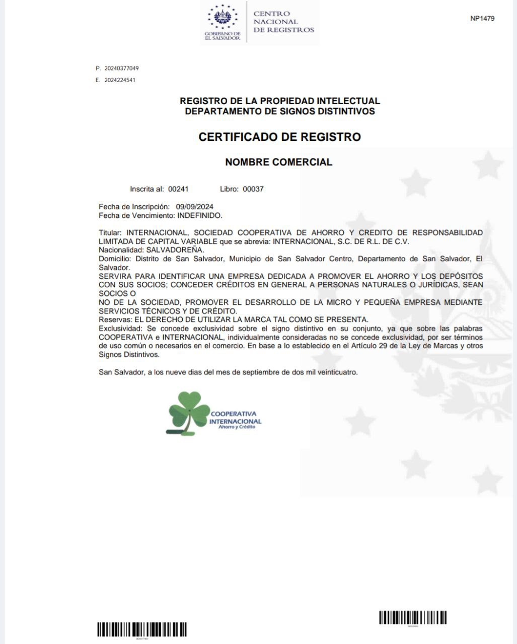 Vista previa del PDF