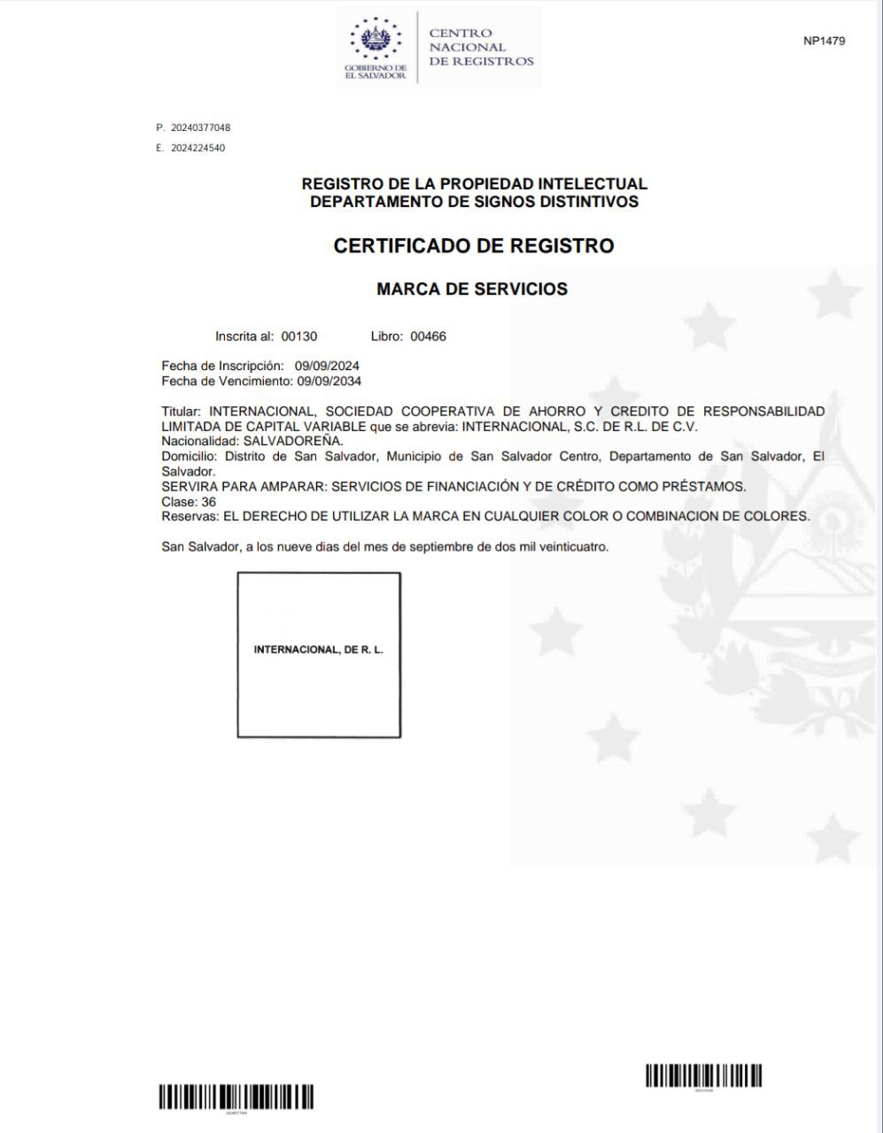 Vista previa del PDF